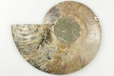 5.25" Cut & Polished Ammonite Fossil (Half) - Madagascar - #200040-1